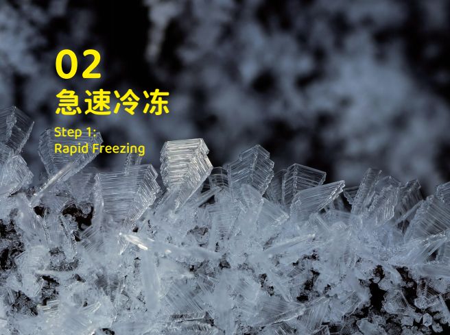 零食界的“黑科技”宠物冻干开元棋牌试玩象乡宠物食品(图4) 零食界的“黑科技”宠物冻干开元棋牌试玩象乡宠物食品(图4)