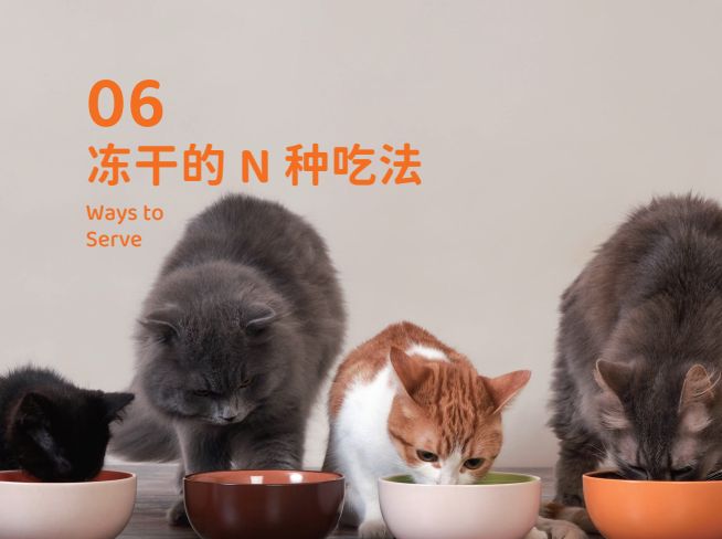 零食界的“黑科技”宠物冻干开元棋牌试玩象乡宠物食品(图5) 零食界的“黑科技”宠物冻干开元棋牌试玩象乡宠物食品(图5)