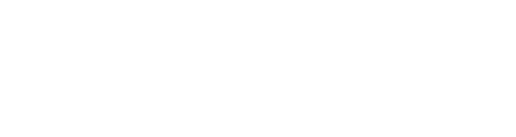 OneNetBiz